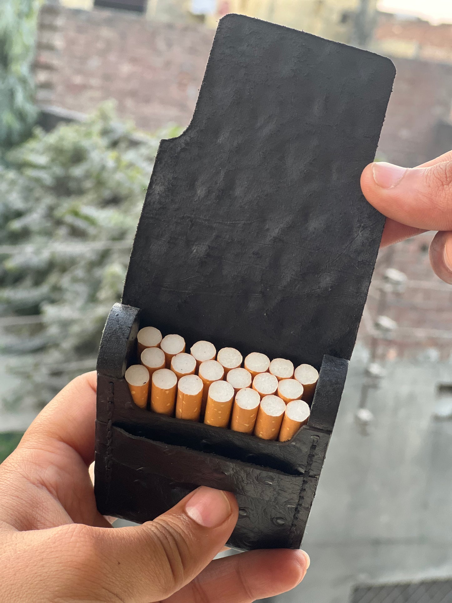 BARON – Premium Leather Carrying Case